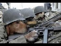 Dogs-With-Machine-Guns-Funny-War-Animal-Picture.jpg