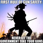 don't let gov take your guns.jpg