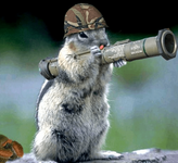 Animals_with_guns_funny_nvzyq.png