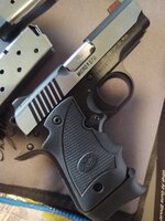 kimber1.jpg