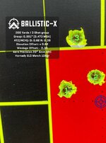 Ballistic-X-Export-2021-03-24 17_06_34.070089.jpg