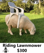 riding mower.png