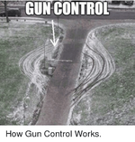 Facebook-How-Gun-Control-Works-68ba55.png