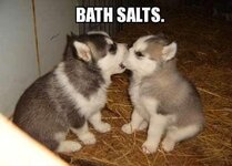 bath-salts-huskies.jpg