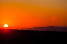 20130706-LU4C0144-L.jpg