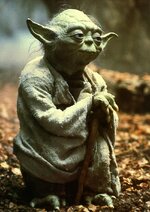 Yoda-thoughtful.jpg