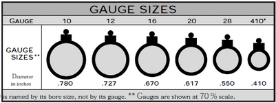 Shotgun-Gauge-Size-Chart.png