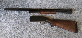 Winchester Model 12 (5).jpg