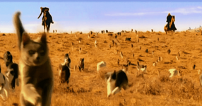 cowboys-herding-cats-og1.png
