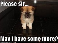y-pictures-loldogs-please-sir-may-i-have-some-more.jpg