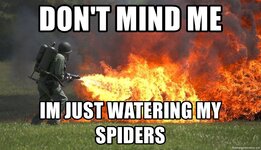 dont-mind-me-im-just-watering-my-spiders.jpg