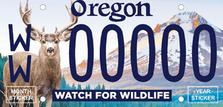 Watch-for-Wildlife-plate-small.png-Watch+for+Wildlife+plate+small.png