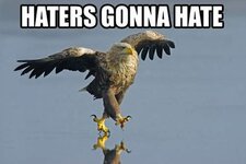 god-haters-gonna-hate-eagle_zps0a95b9e3.jpg