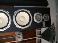 DSCF3206.JPG