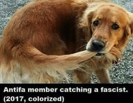 antifa-member-catching-a-fascist-2017-colorized.jpg