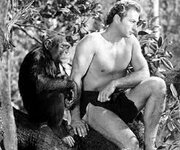 Cheetah, Chimpanzee Star of Early 'Tarzan' Films, Dead at 80