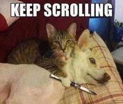 keep-scrolling-cat-with-knife.jpg