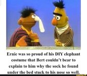 Ernie_DIY elephant.jpg