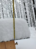 IMG_20211226_090701.jpg