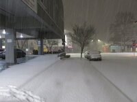 IMG_1762.JPG