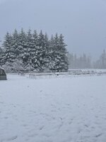 E2967526-A80A-428D-81BC-7FF2AACC4215.jpeg