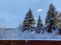 099EDEC2-CD12-43FB-BD4F-FF89EF1D5912.jpeg