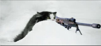 Shooter Cat Sniper.jpg