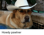 howdy-pawtner-1039662.png
