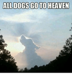 all-dogs-go-to-heaven-5449951.png