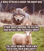 wolf_sheep-min.png