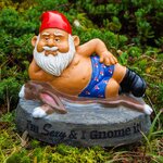 Sexy-and-I-Gnome-It-Garden-Gnome_700x.jpg