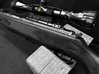 winchester1100S_march2022a.jpg