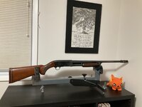 IMG_0439.jpeg