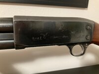 IMG_0438.jpeg