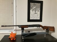IMG_0437.jpeg