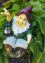 fanny-garden-gnome-reading-book-lantern-34714306.jpg