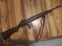 M14.jpg