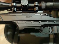 IMG_20220409_171736_Bokeh.jpg