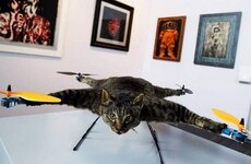 Dutch-Artist-Who-Turned-His-Dead-Cat-Into-A-Remote-Helicopter8.jpg
