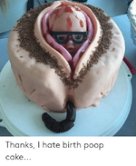 thanks-i-hate-birth-poop-cake-58812523.png