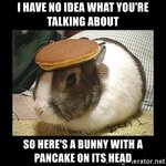 Bunny-with-a-pancake-on-its-head.jpg