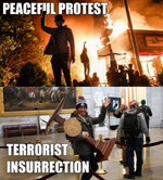 Peaceful_Protest_vs_Insurrection.jpg