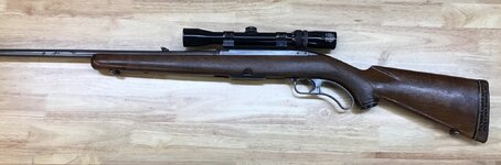 Winchester Model 88.JPG