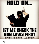 let-me-check-the-gun-laws-first.png