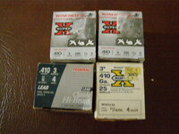 P1010001.JPG