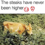 1580348354271.png