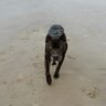 Twilight