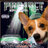 Tactical_Corgi