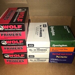 LR and SRM Primers.jpeg