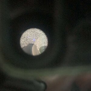54171D44-4446-47F0-87C7-7E8346A15EE4.jpeg